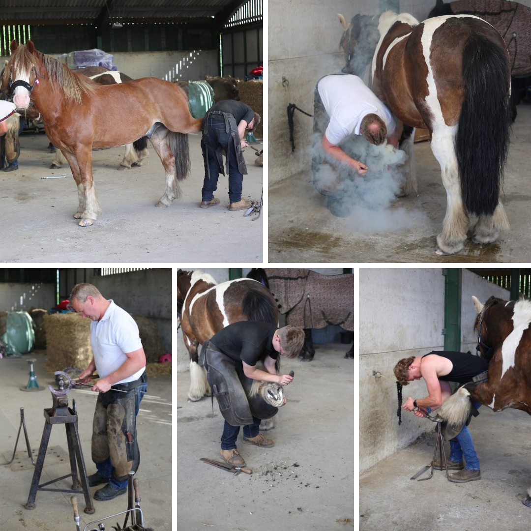 It’s farrier day today here at CSRC!